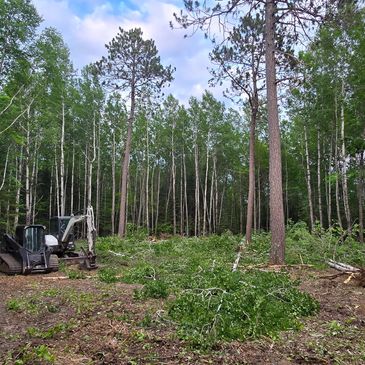 Clearing a forest area with heavy machinery and fallen branches.