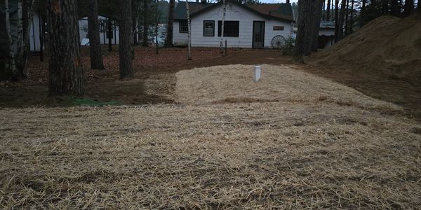 Newly seeded lawn with straw mulch near a white house surrounded by trees.