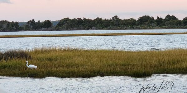 Asseteague National Seashore