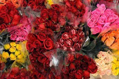 Dozen Rotary Roses - you pick up 10/15/21 2p-6p