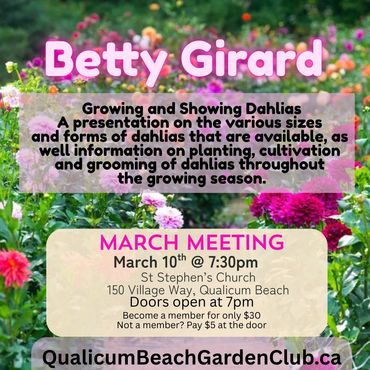 Announcement for Betty Girard's dahlia presentation at Qualicum Beach Garden Club March meeting.