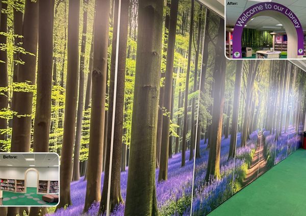 School library graphics: Printed bluebell woodland vinyl applied to ten movable, partition wall divi