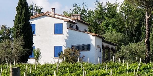 Villa Ospite - Podere San Luigi