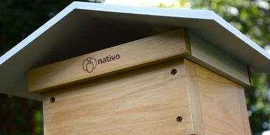native bee hive rooftop
