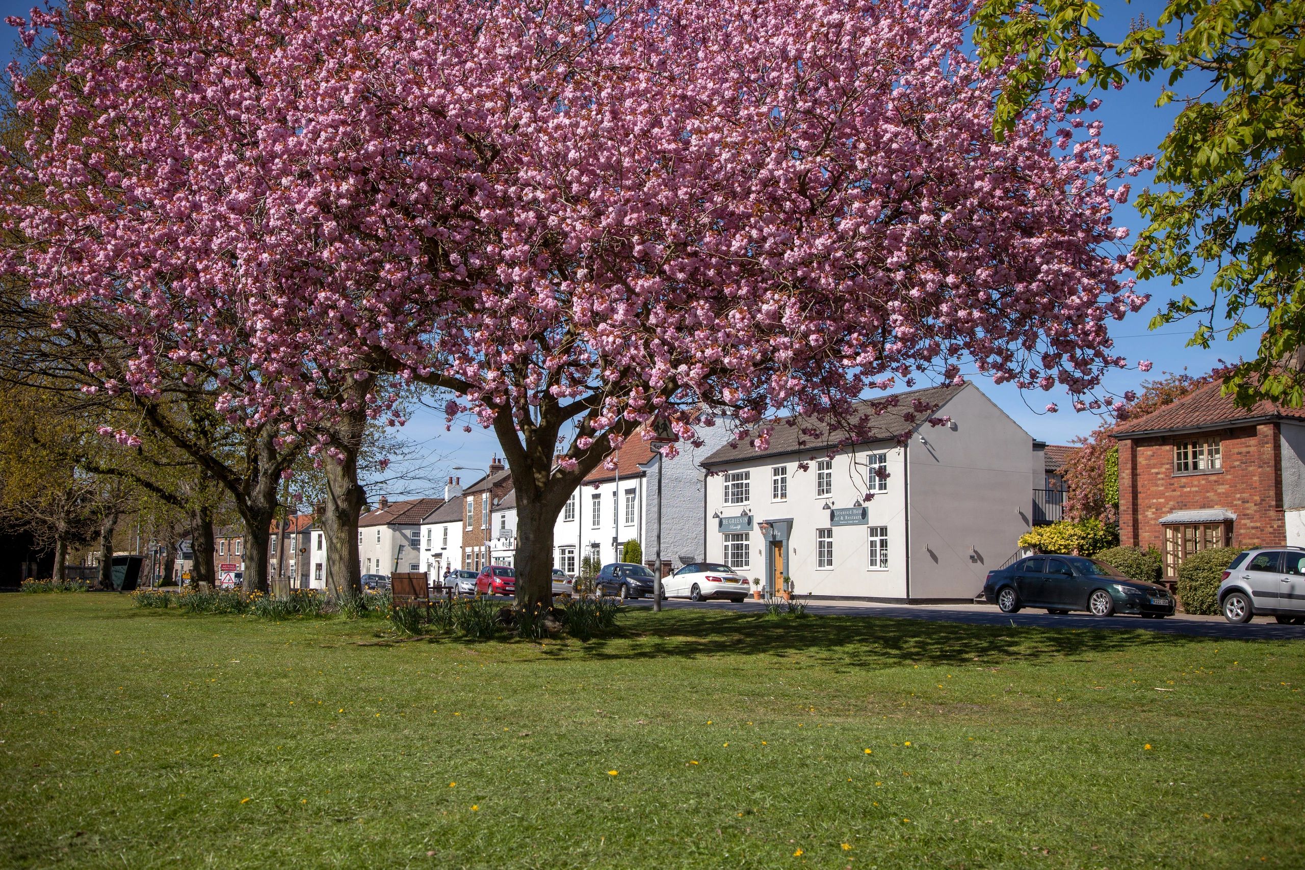 The Green Inn Rawcliffe in Goole