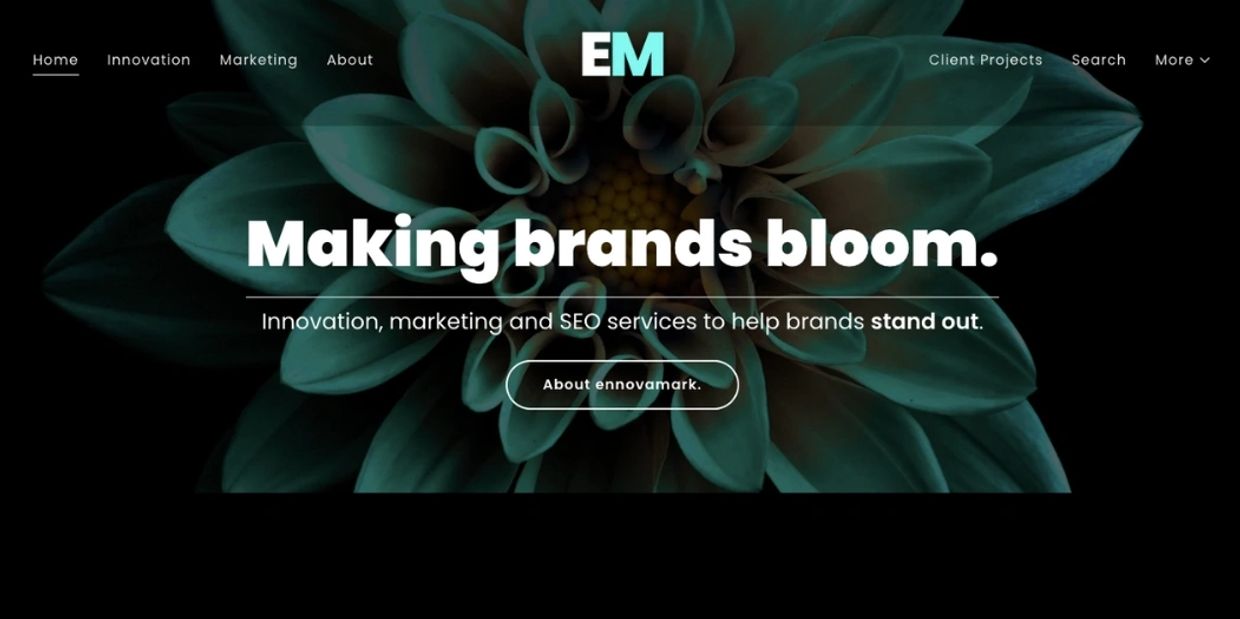WEBSITE DESIGN AND SEO SUPPORT - ennovamark - ennovamark home page