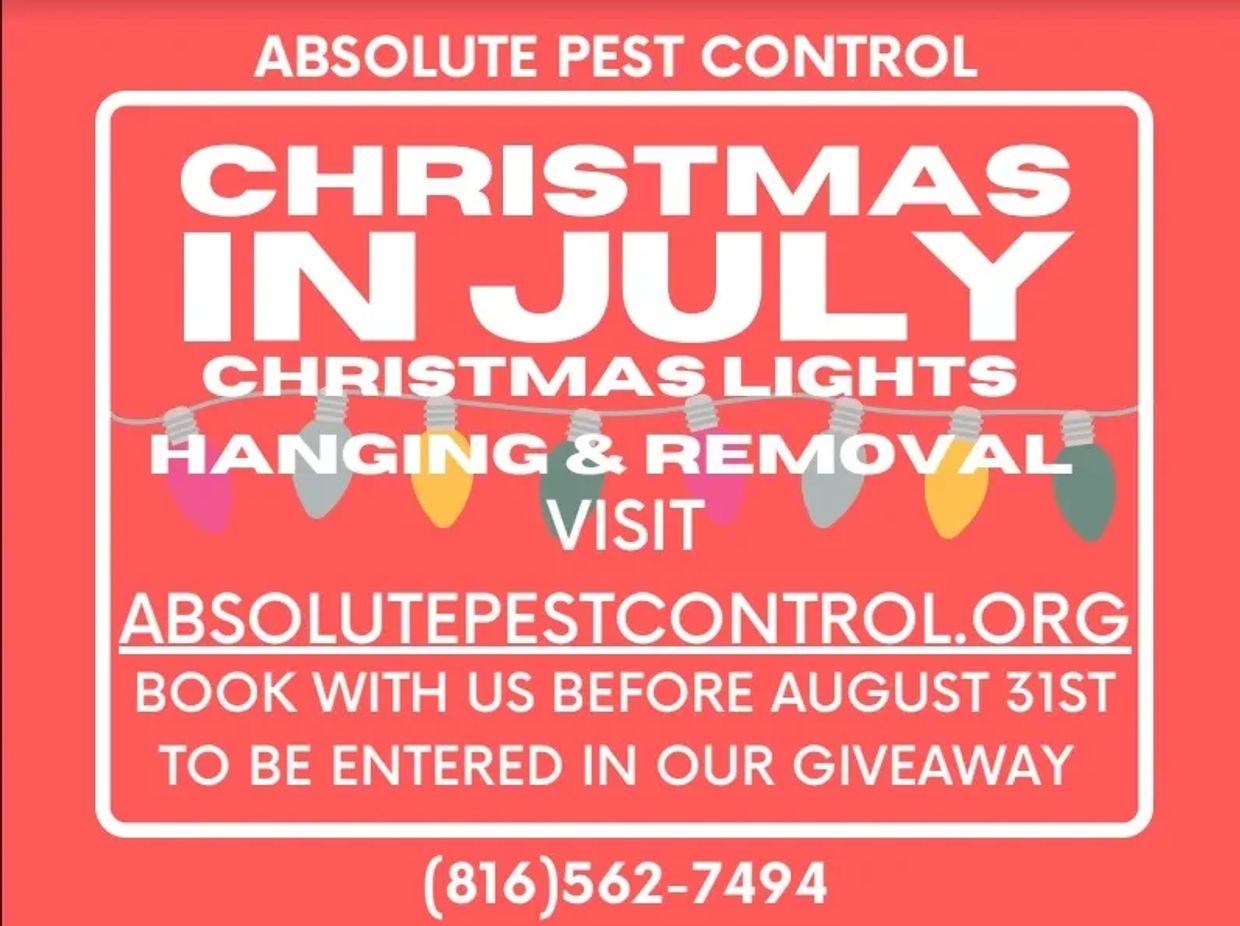 Image that details Absolute Pest Control's Christmas light hanging and removal service 