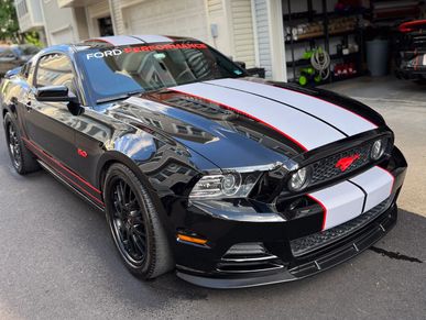 Mustang stripes custom