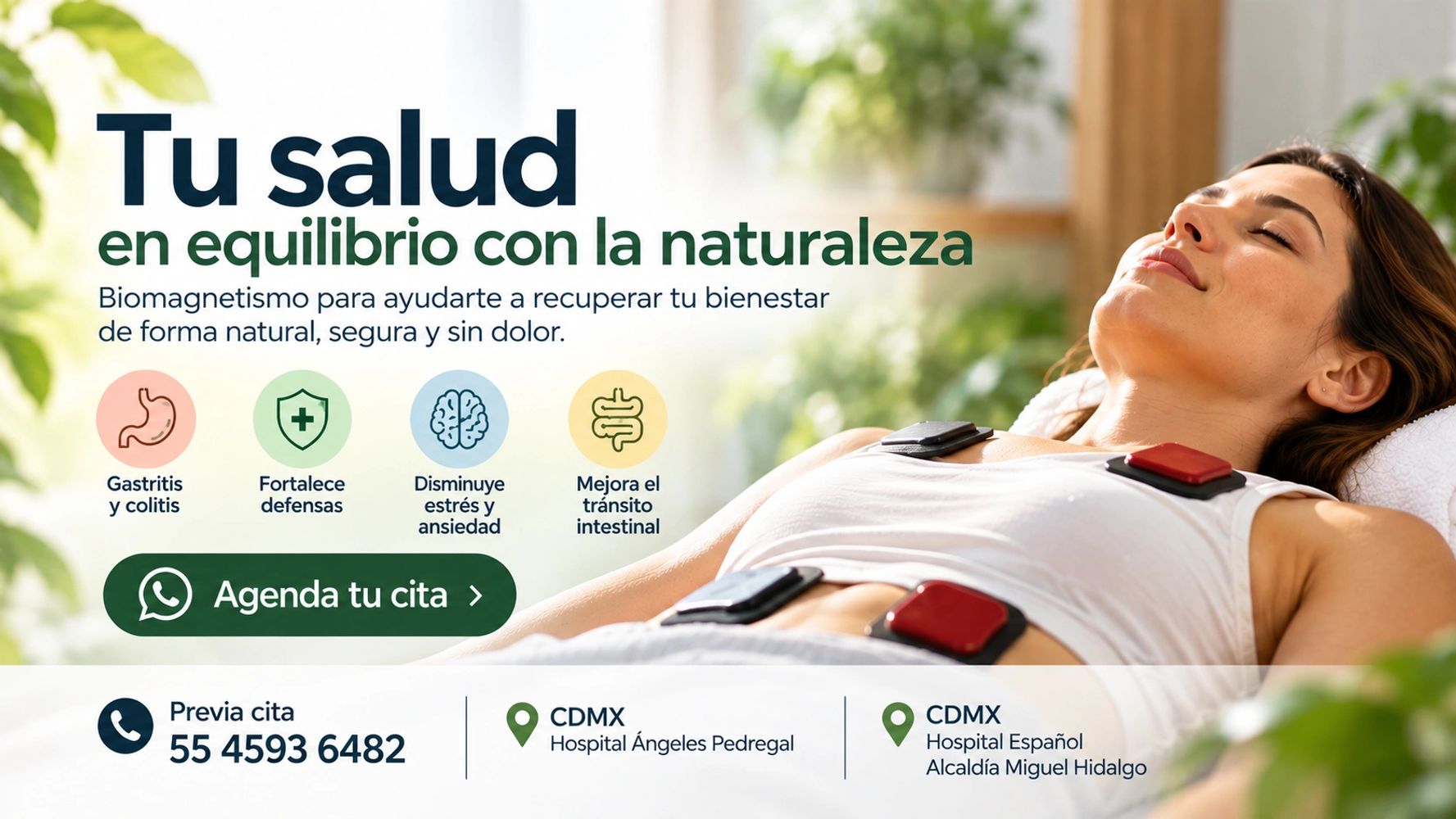 biomagnetismo en cdmx