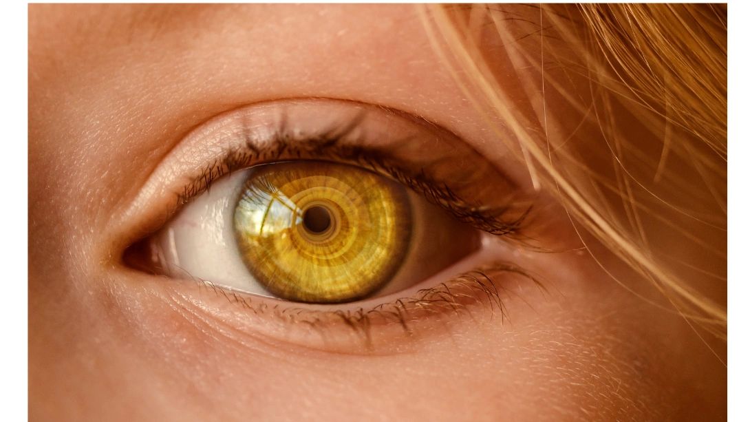 Importance of Observation