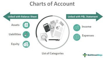 We create your chart of accounts.