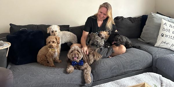 Pico Pups Parkinson owner Katrina sitting on a couch with 6 small dogs during doggy daycare time.
