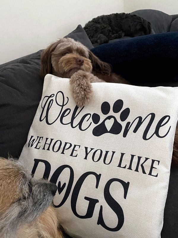 Three dogs on a couch cuddling a pillow saying welcome we hope you like dogs.