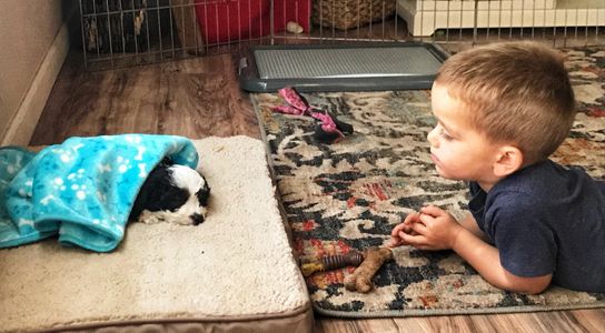 Boy sitting with his puppy