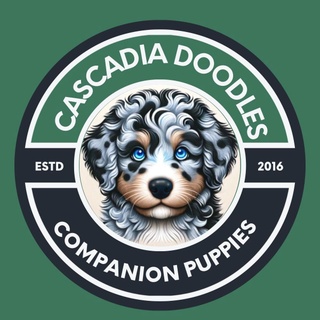 Cascadia Doodles 