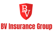BV Insurance Group