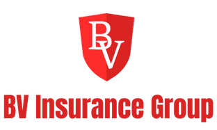 BV Insurance Group