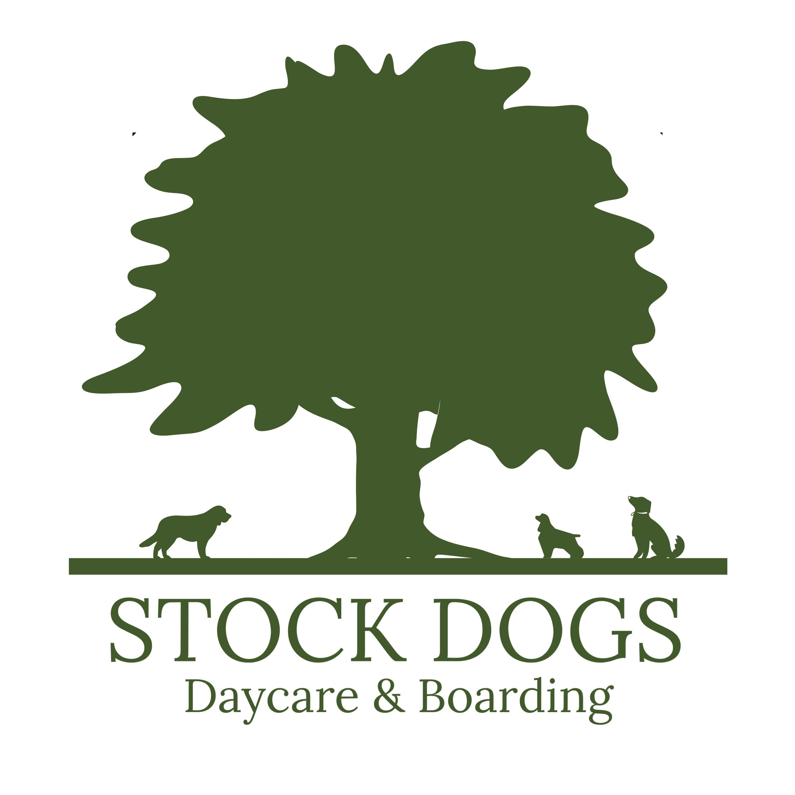 Stock Dogs