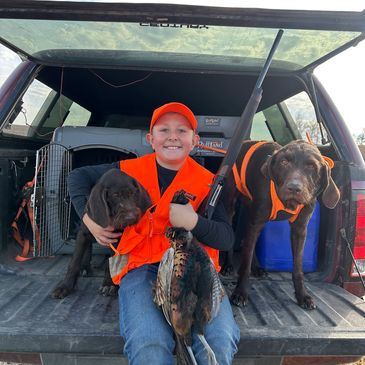 Boy in orange hunting gear with two dogs and a pheasant in a truck bed.
