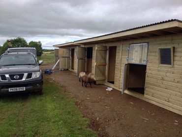 Wooden animal shelters with open doors and sheep nearby on a cloudy day.