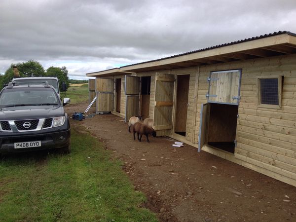 Wooden animal shelters with open doors and sheep nearby on a cloudy day.