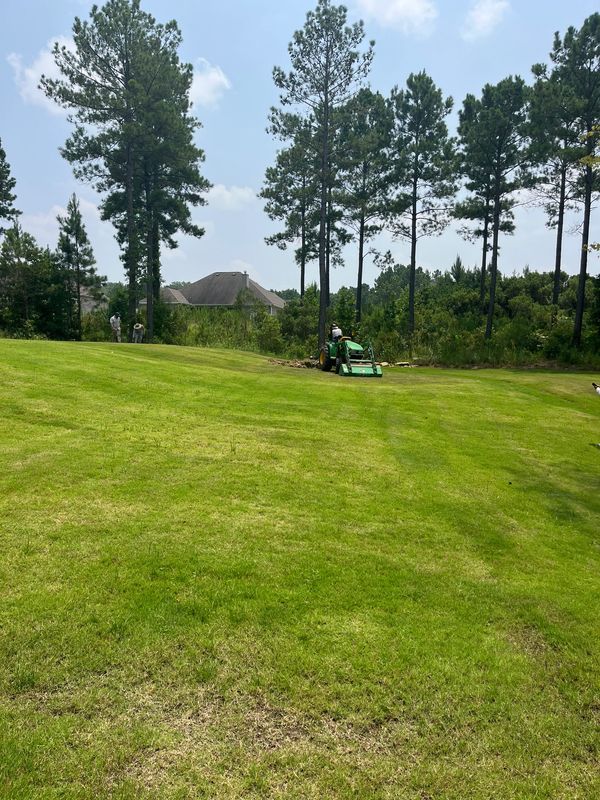 Prepping the land for the artificial turf.