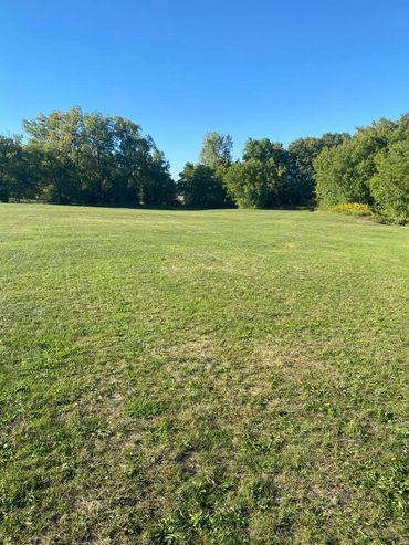 Field at Oakhill cemetery