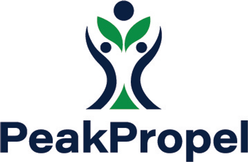 PeakPropel Advisors Inc. 