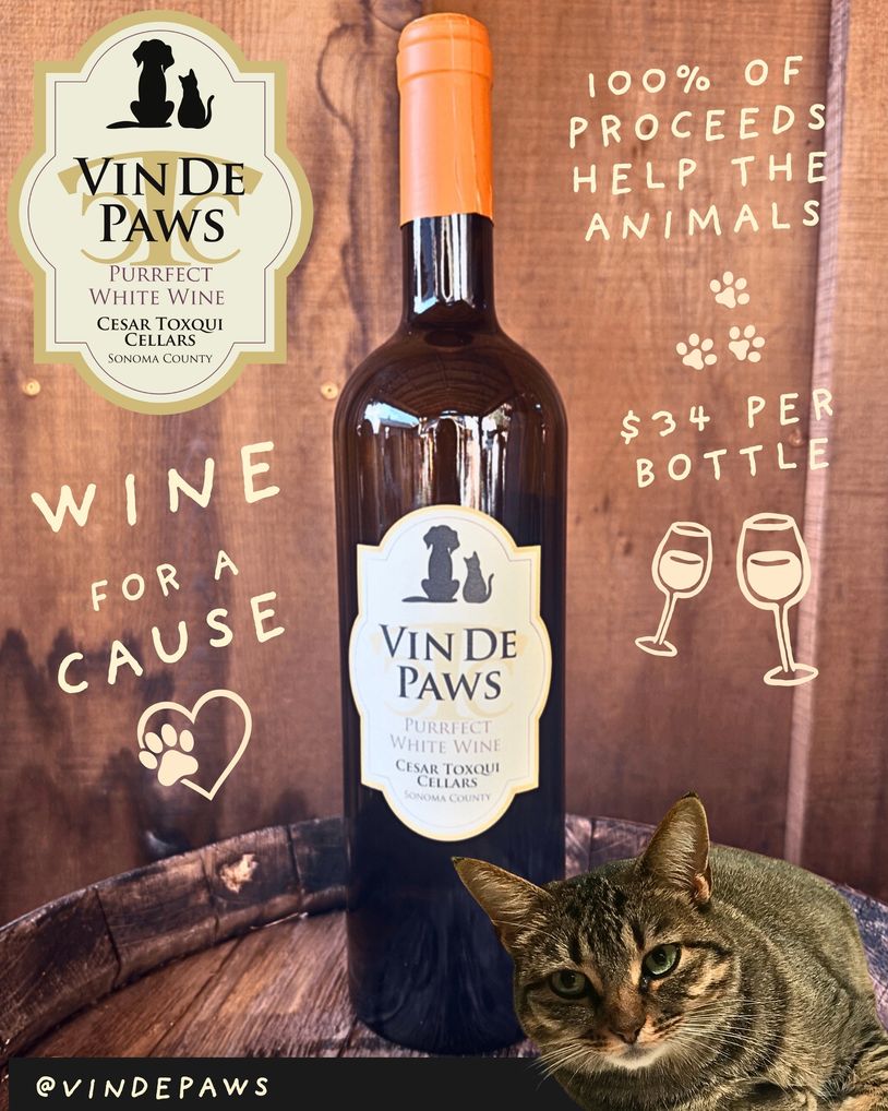 Vin De Paws white wine benefits animals with proceeds going to help them.