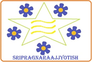 SRIPRAGNARAAJJYOTISH