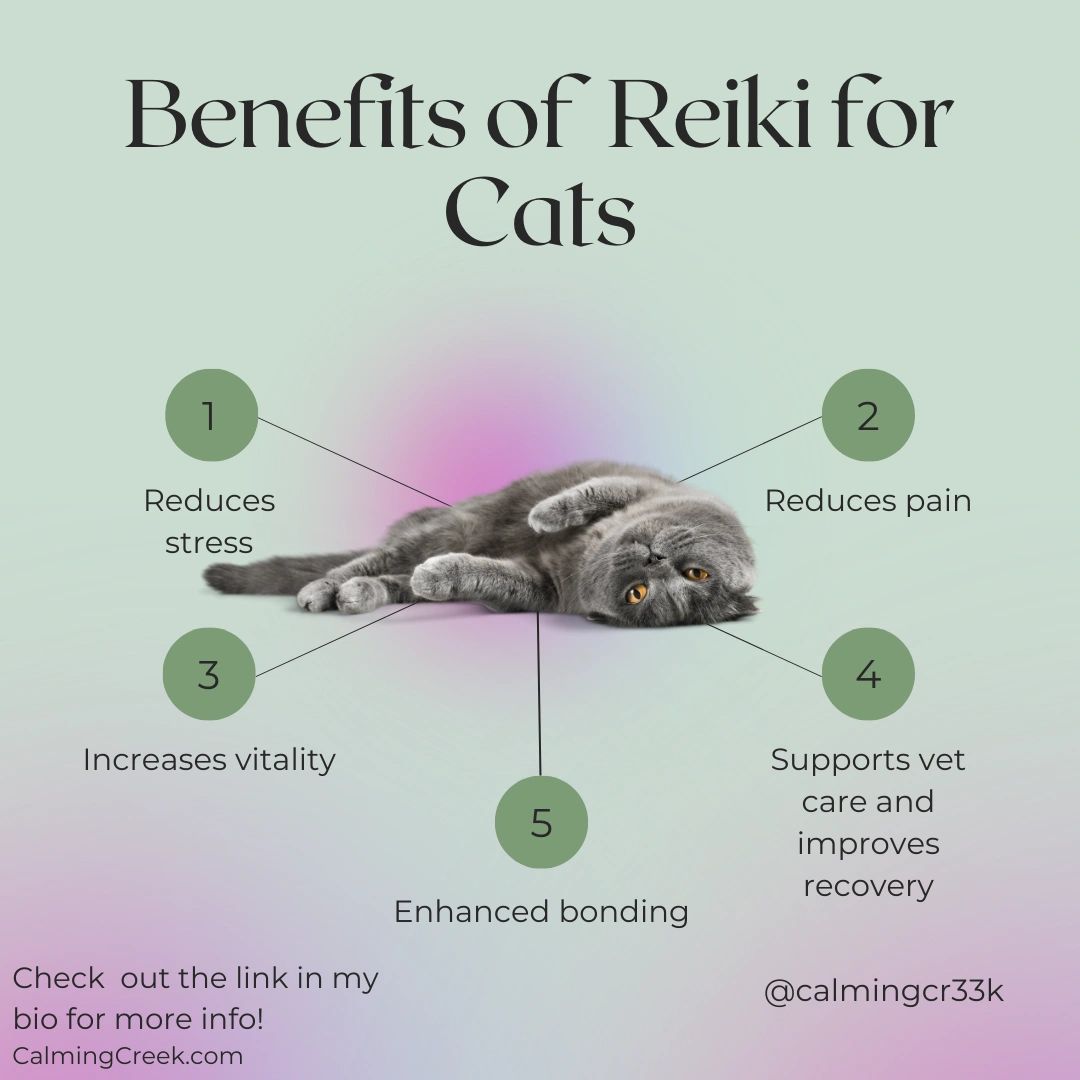 Reiki for cats, Energy healing for cats