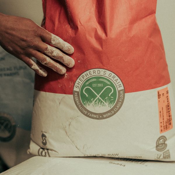 A hand covered in flour rests on a Shepherd's Grain flour bag.