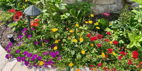 Colorful flower bed with red, yellow, and purple blooms next to a stone wall.