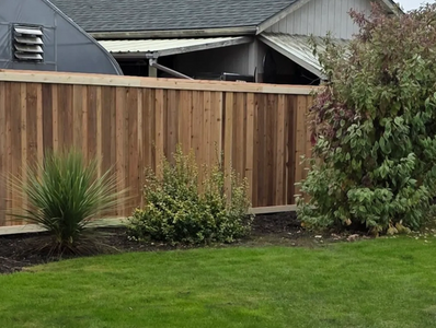 A backyard with a wooden fence and various green plants.