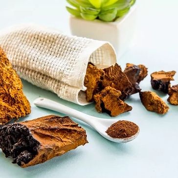 Chaga Extract and Raw mushroom