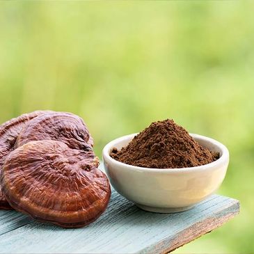 Reishi Mushroom Extract 