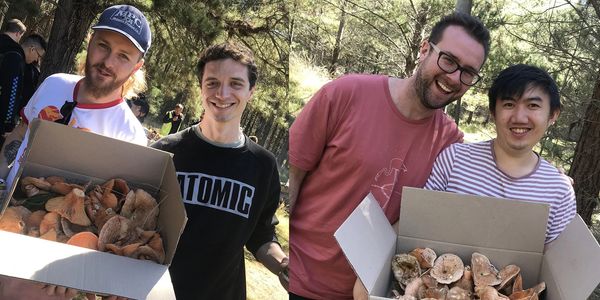 people holding mushrooms