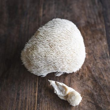 Lions Mane Mushroom