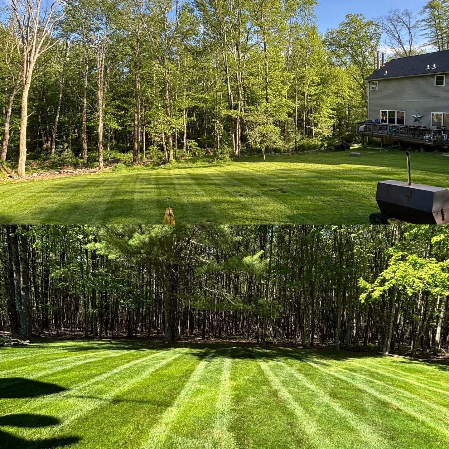Two views of a freshly mowed lawn with striped patterns and surrounding trees.