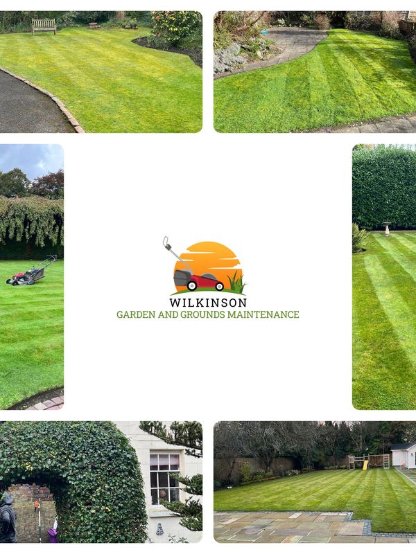 Gardening 