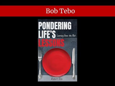 Book cover of 'Pondering Life's Lessons' by Robert Tebo.