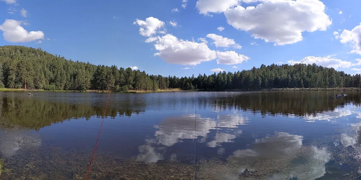 Riggs Lake, Mount Graham Arizona      Lake and pond management