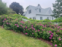 Earth to Sky Gardening