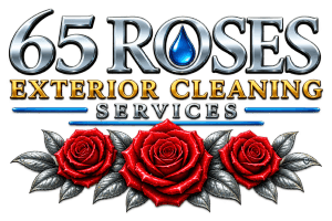 65rosesexteriorcleaning.com