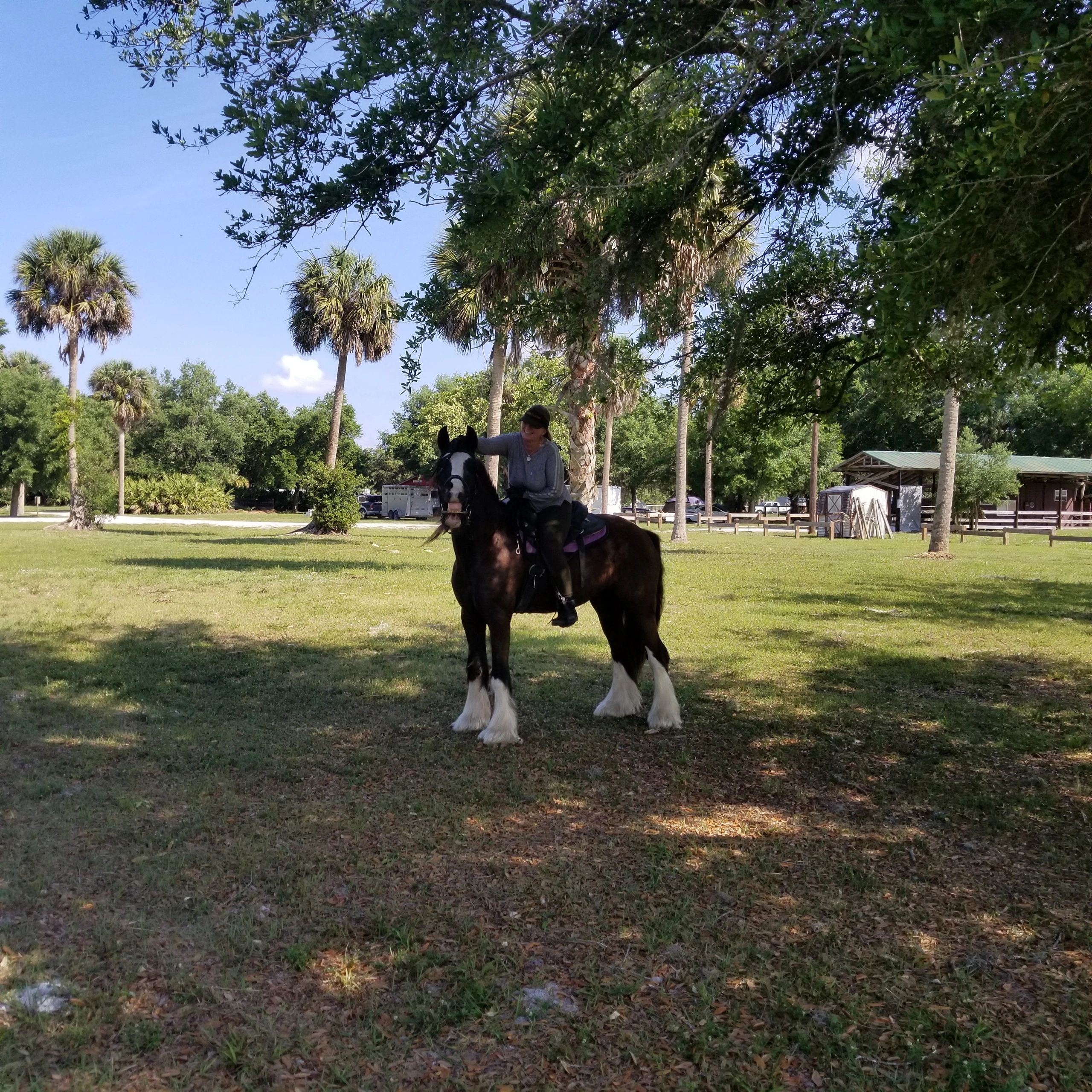Florida Horsemens club