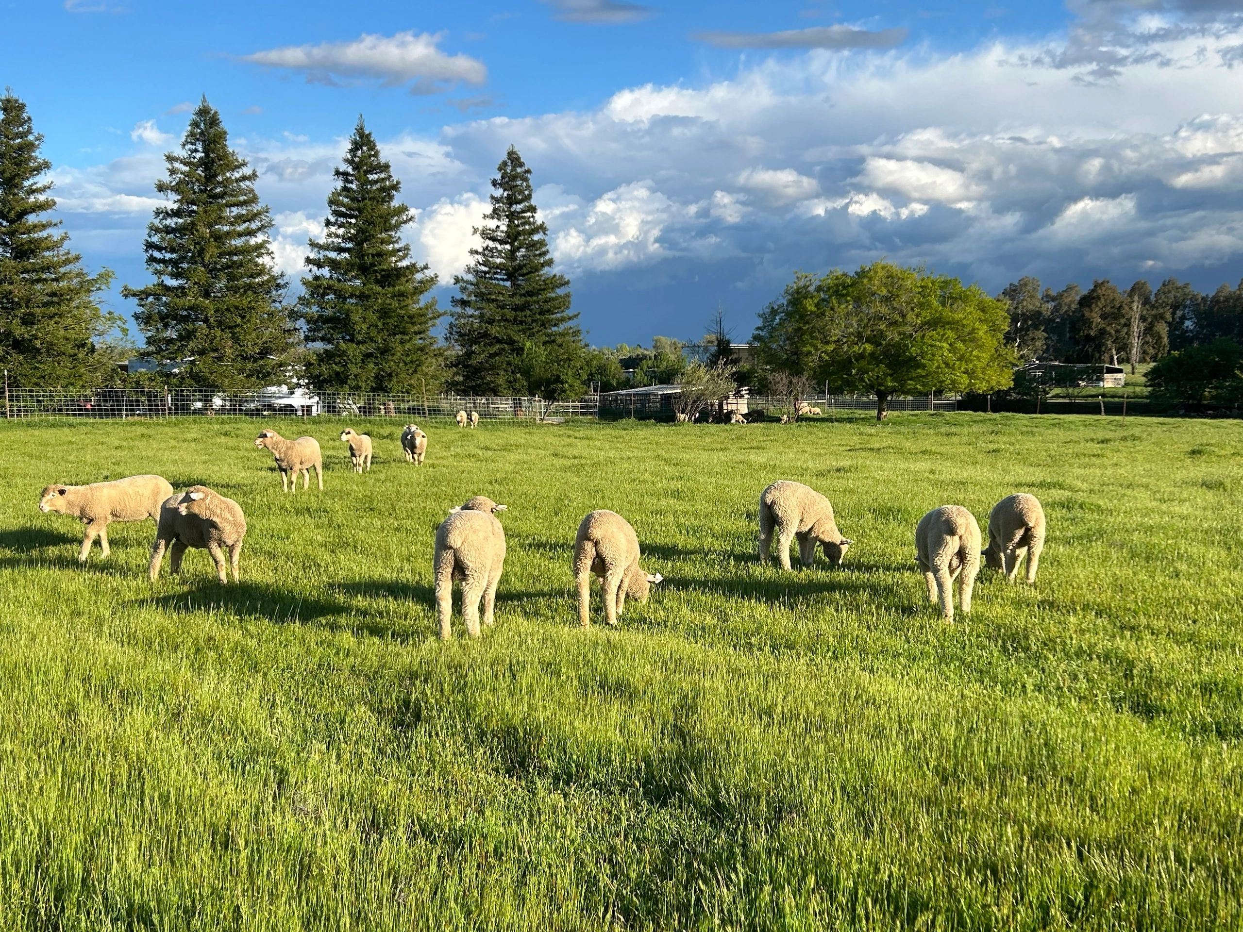 McNabb Ranch
