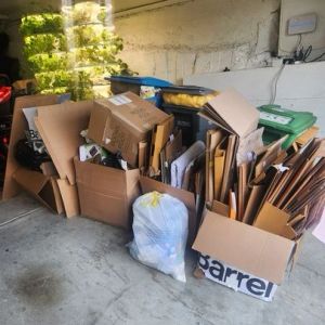 Junk Removal