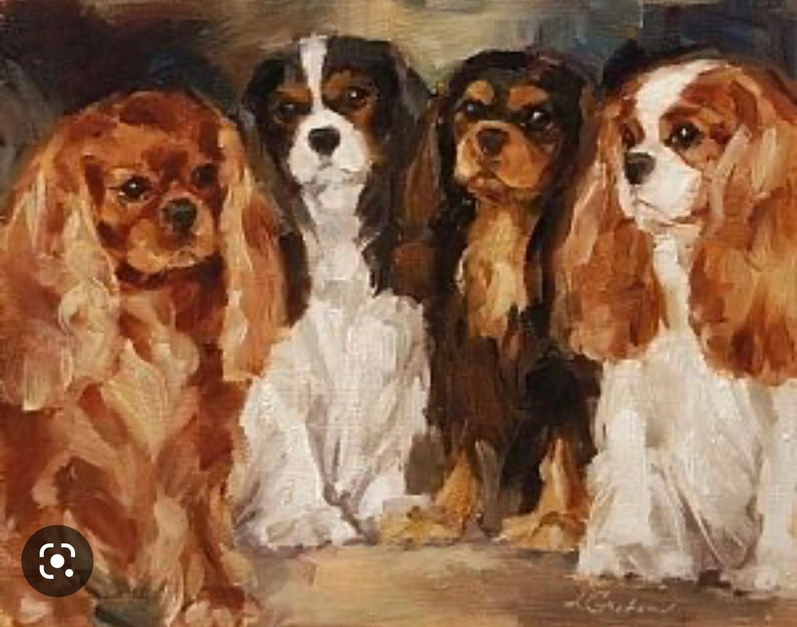 English Rose Kennels Reputable Breeder of Quality Puppies