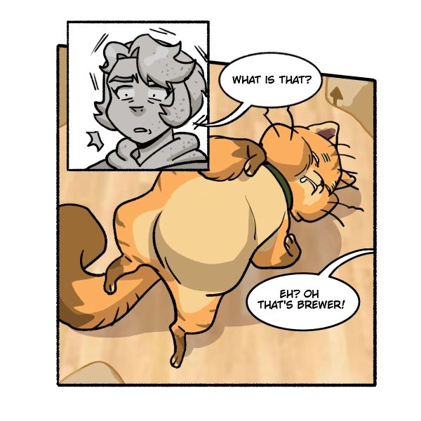 Person asks about a cat named Brewer.