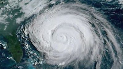 Storm and hurricane preparation for seasonal homeowners in Palm Beach County